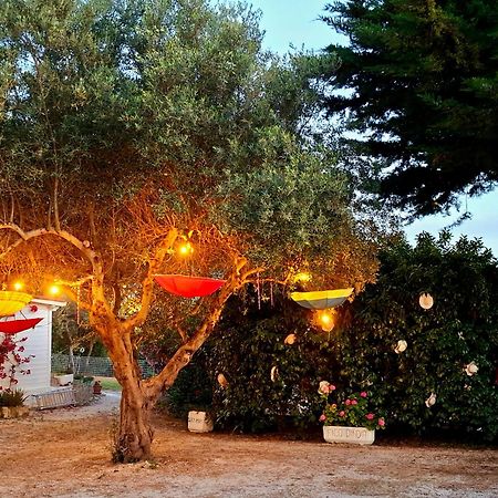 Mirella Charming Bed and Breakfast Αλμπερομπέλο Εξωτερικό φωτογραφία