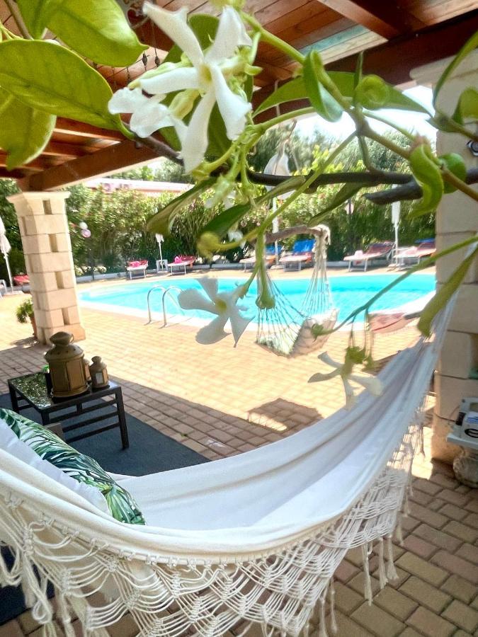 Mirella Charming Bed and Breakfast Αλμπερομπέλο Εξωτερικό φωτογραφία