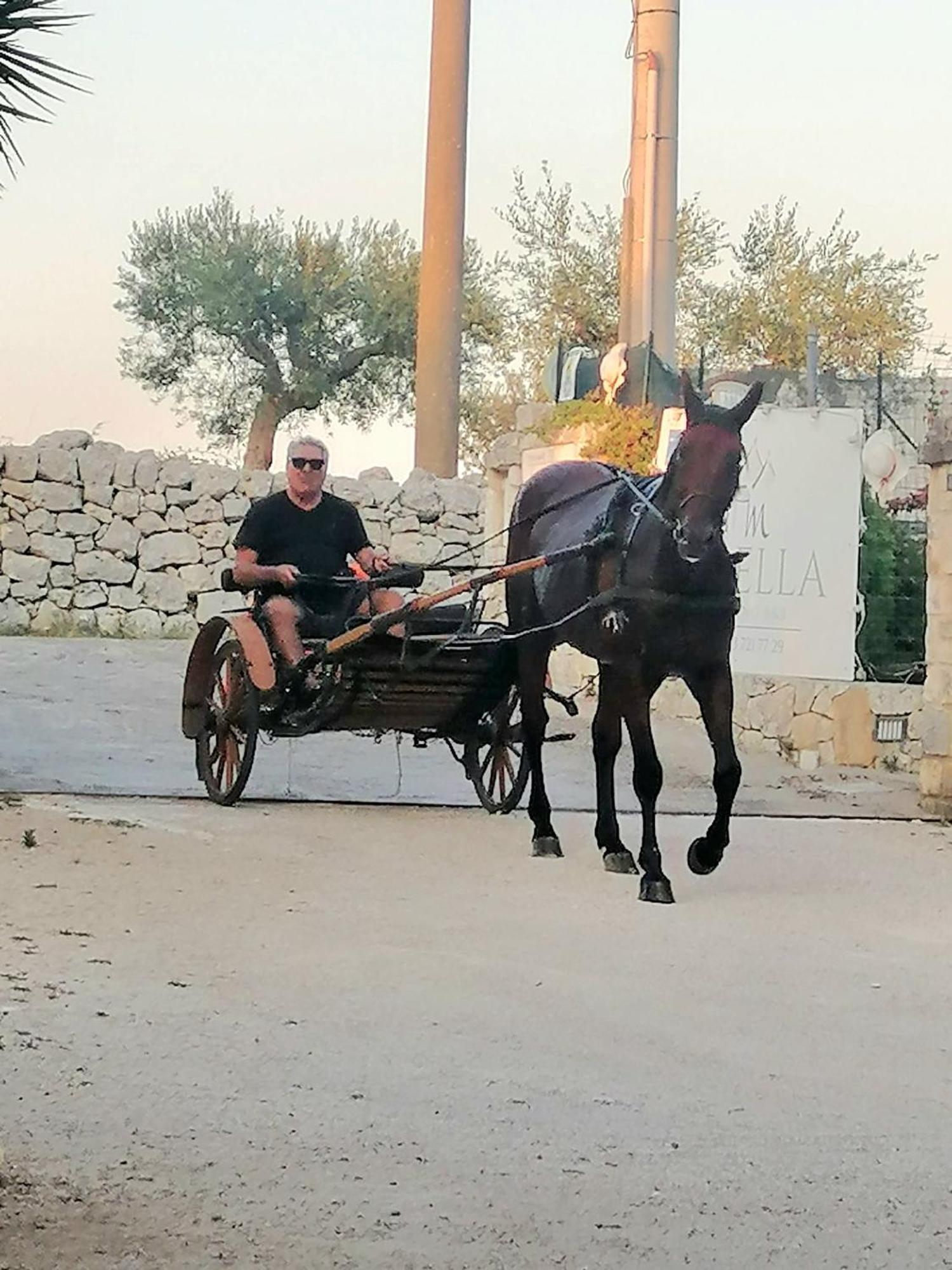 Mirella Charming Bed and Breakfast Αλμπερομπέλο Εξωτερικό φωτογραφία