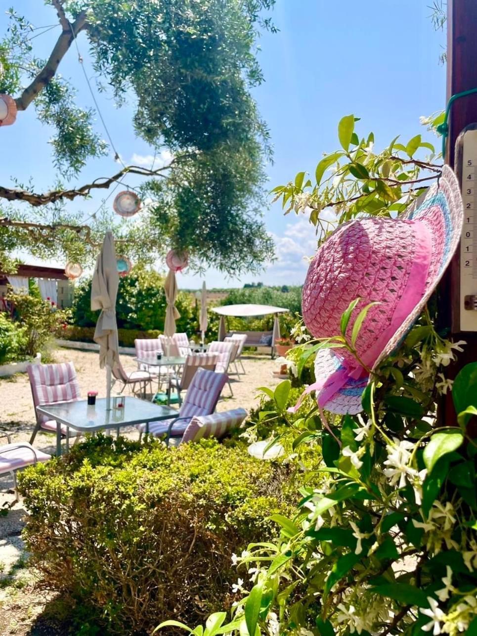 Mirella Charming Bed and Breakfast Αλμπερομπέλο Εξωτερικό φωτογραφία