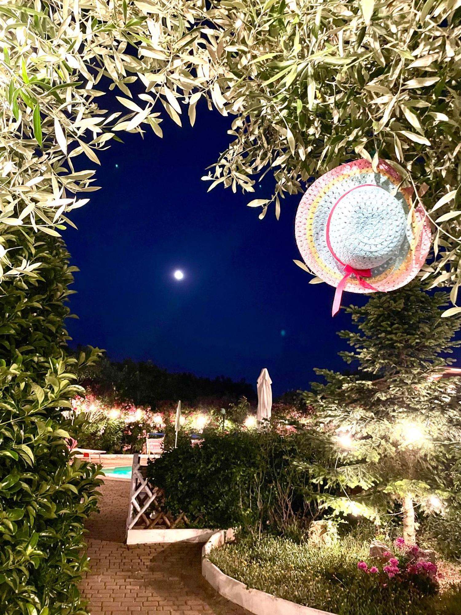 Mirella Charming Bed and Breakfast Αλμπερομπέλο Εξωτερικό φωτογραφία