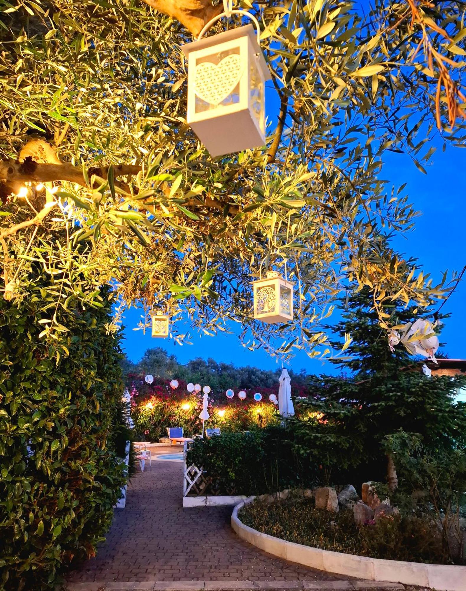 Mirella Charming Bed and Breakfast Αλμπερομπέλο Εξωτερικό φωτογραφία