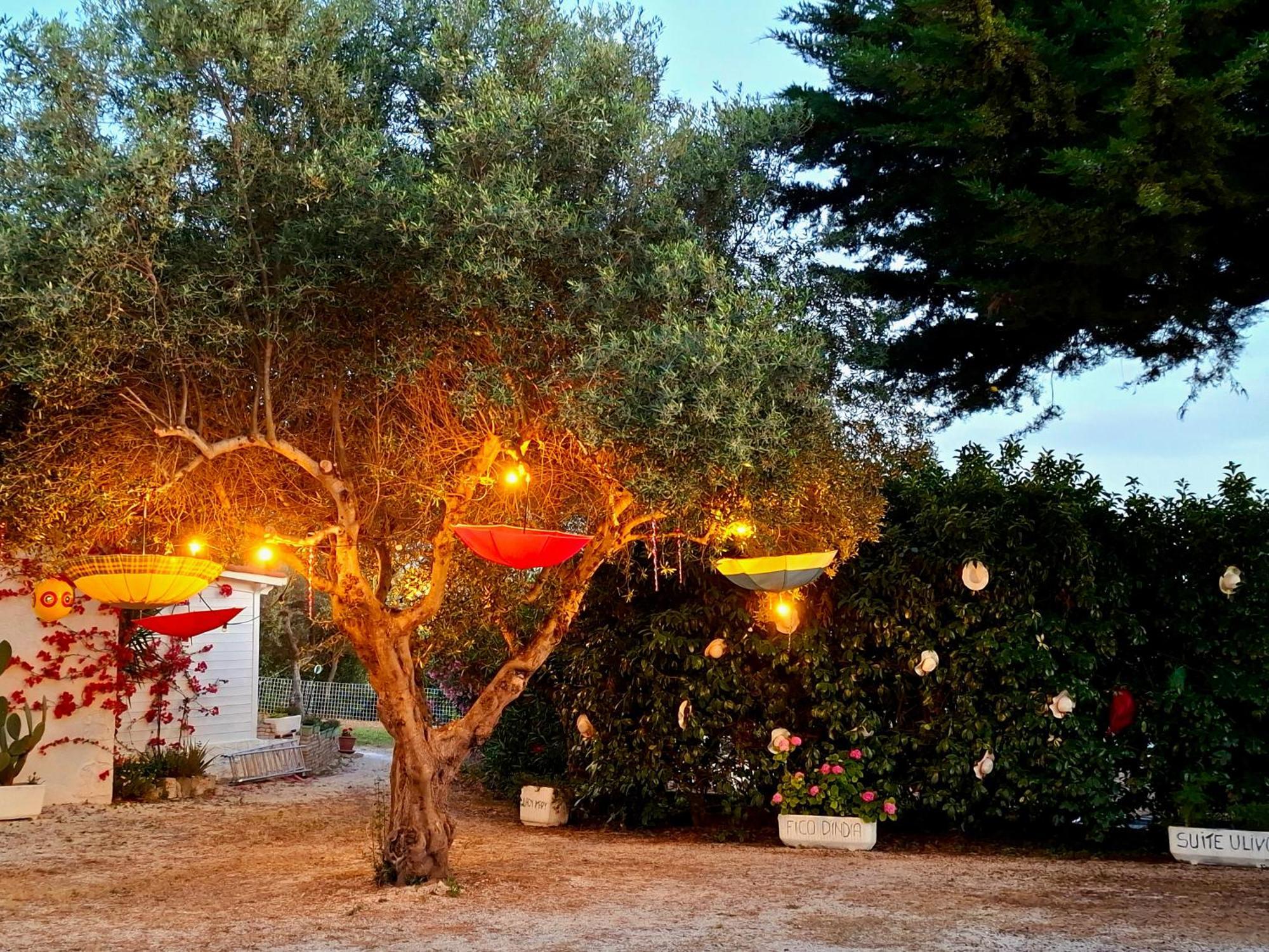 Mirella Charming Bed and Breakfast Αλμπερομπέλο Εξωτερικό φωτογραφία