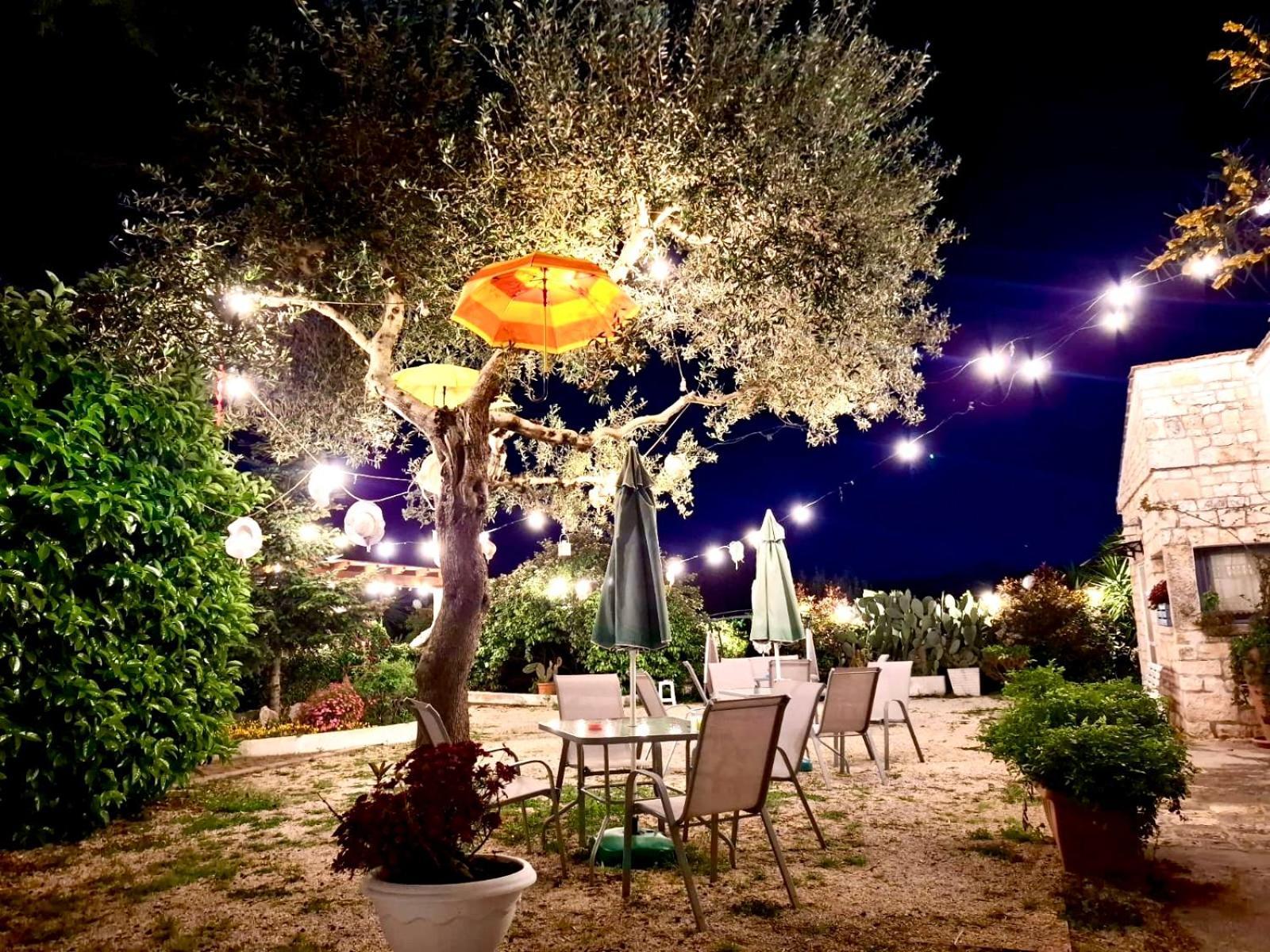 Mirella Charming Bed and Breakfast Αλμπερομπέλο Εξωτερικό φωτογραφία