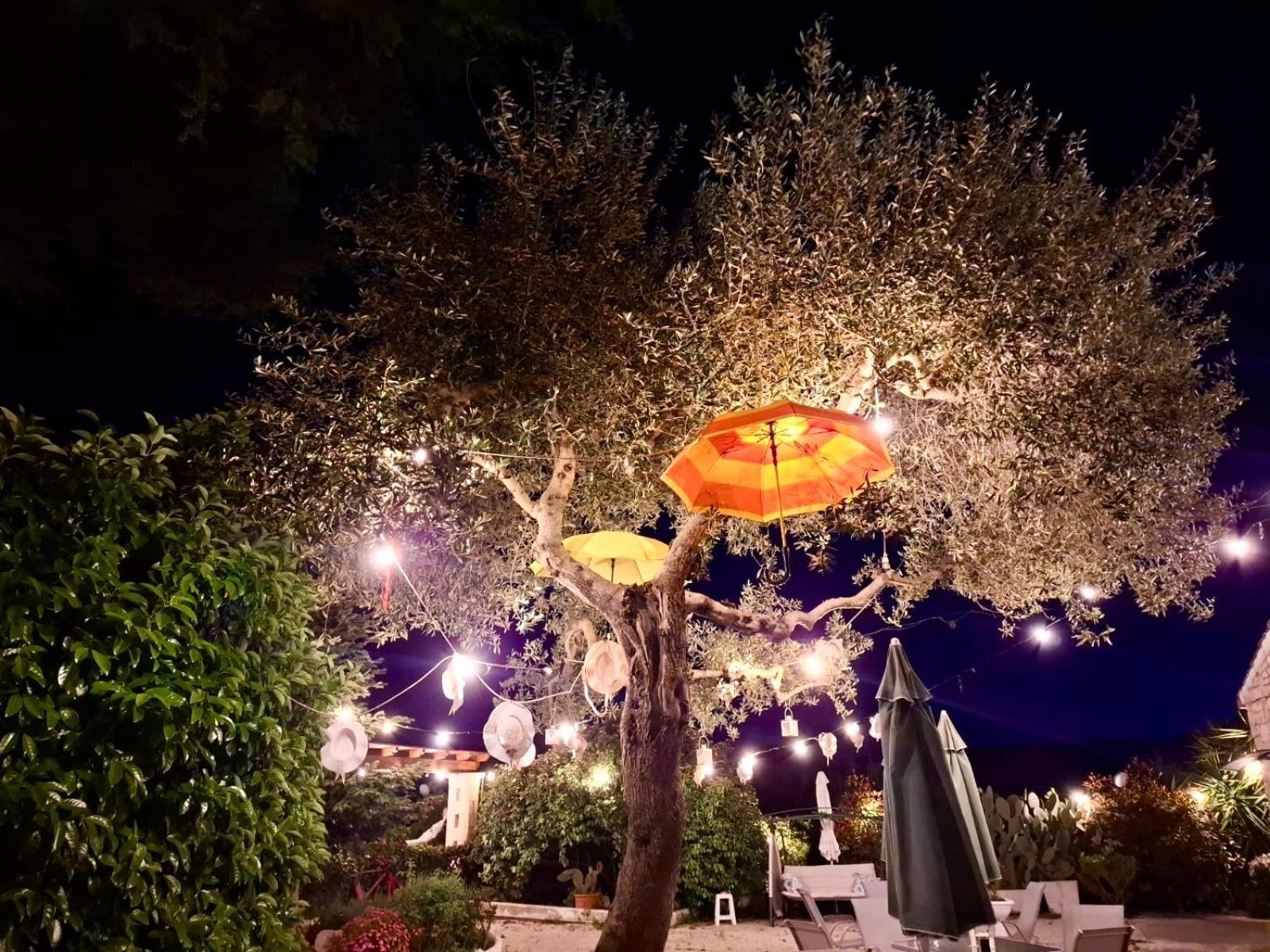 Mirella Charming Bed and Breakfast Αλμπερομπέλο Εξωτερικό φωτογραφία