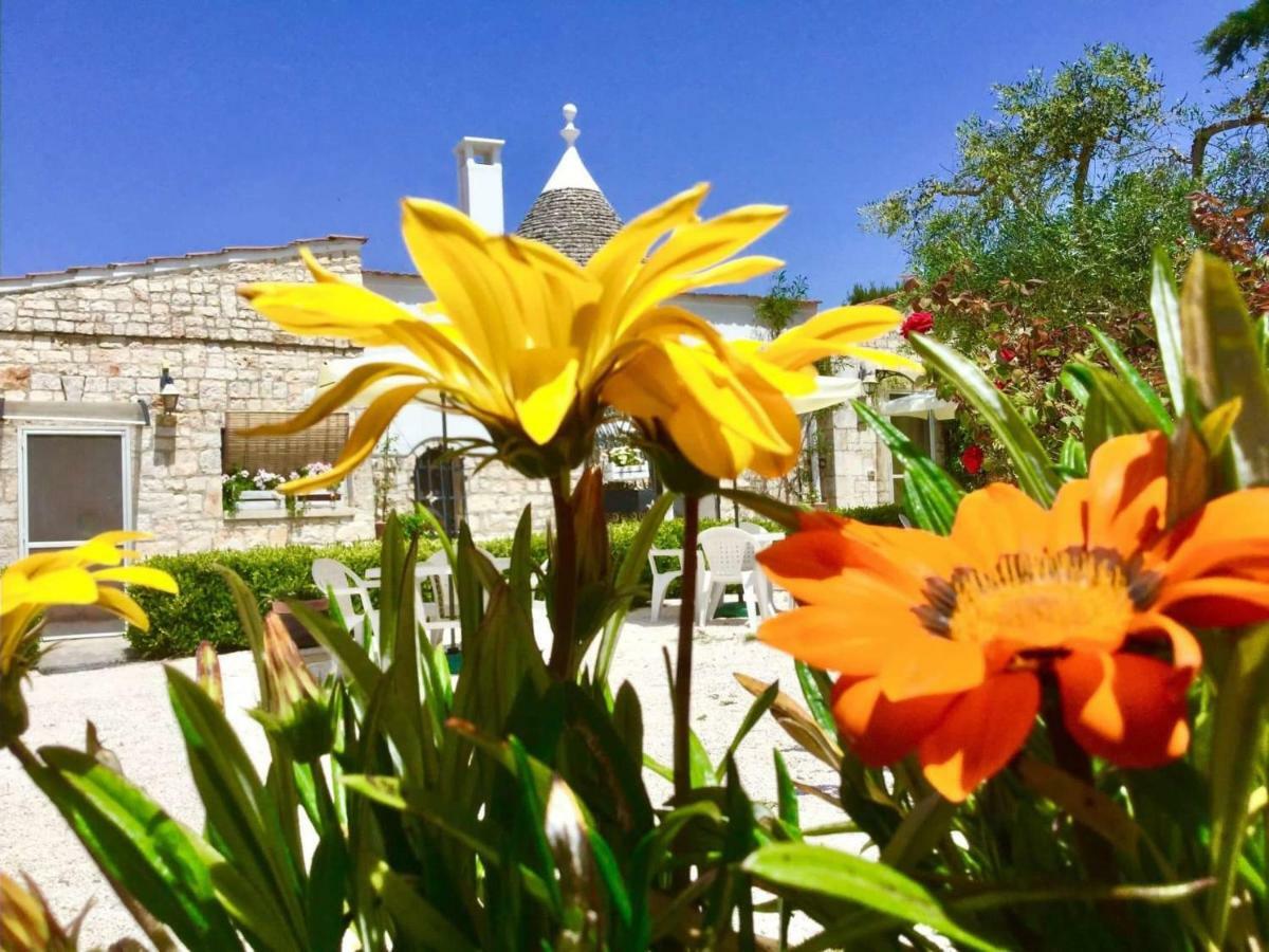 Mirella Charming Bed and Breakfast Αλμπερομπέλο Εξωτερικό φωτογραφία