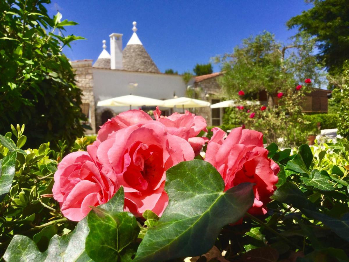Mirella Charming Bed and Breakfast Αλμπερομπέλο Εξωτερικό φωτογραφία