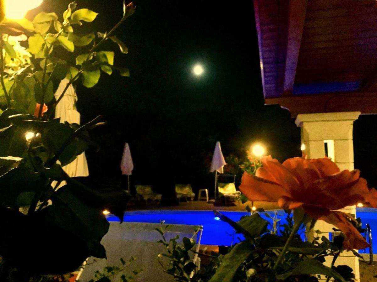 Mirella Charming Bed and Breakfast Αλμπερομπέλο Εξωτερικό φωτογραφία